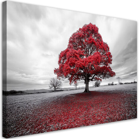 Tableau déco Paysage d'arbres rouges 100x70 (1/5)