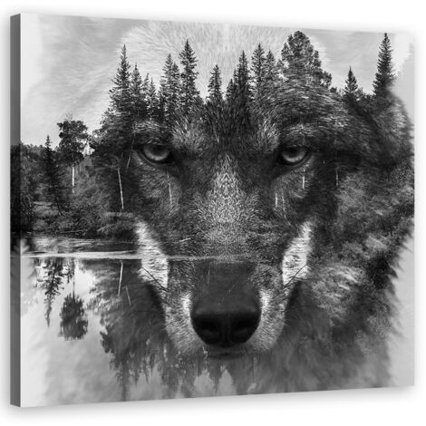 Image sur toile, Abstraction loup noir - 60x60 (1/5)