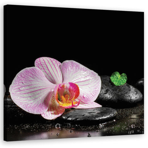 Tableau sur toile Un zen d'orchidée en fleurs 60x60 (1/5)