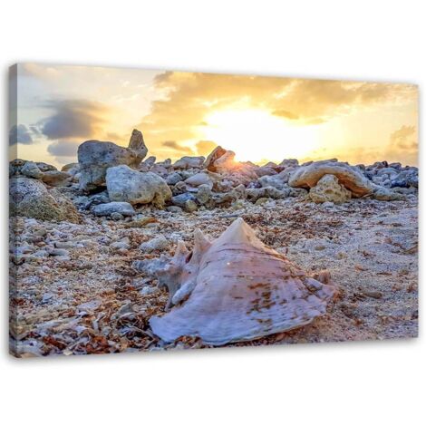 Tableau sur toile Coquillage Pierres Mer 90x60 (1/5)