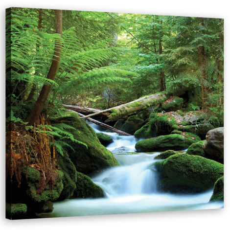 Tableau déco Forêt Montagnes Ruisseau Nature 30x30 (1/5)