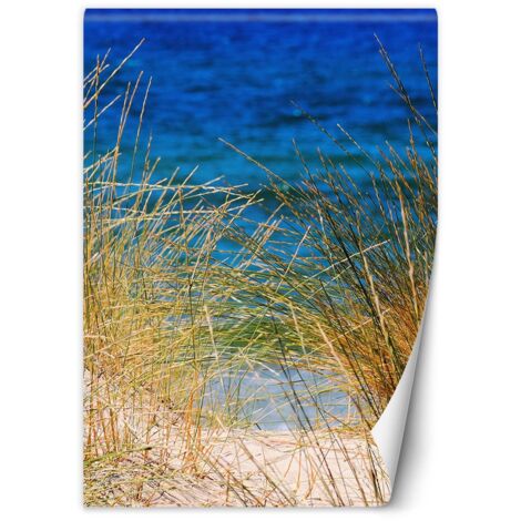 Papier peint Grandes herbes au bord de la mer 200x280 (1/5)
