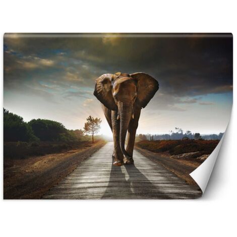 Papier peint mural, Éléphant errant - 100x70 (1/5)
