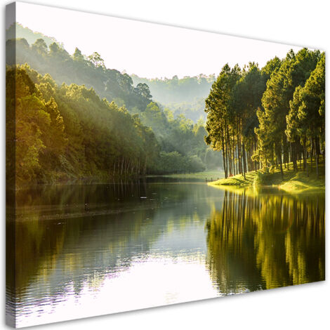 Tableau sur toile Paysage de la nature forestière 60x40 (1/5)