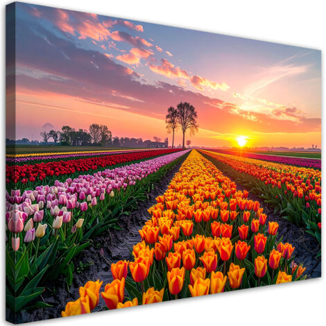 Tableau déco Tulipes fleurs prairie vue 60x40 (1/4)