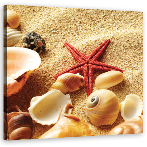 Tableau sur toile Coquillages plage sable 50x50 (1/5)