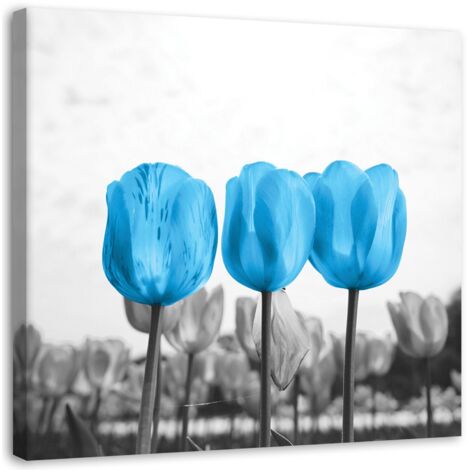Tableau sur toile Fleurs Tulipes Nature Bleu 60x60 (1/5)