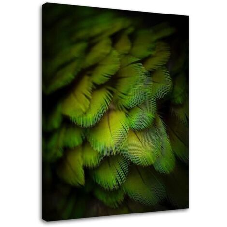 Tableau sur toile Plumes Nature Vert 40x60 (1/5)