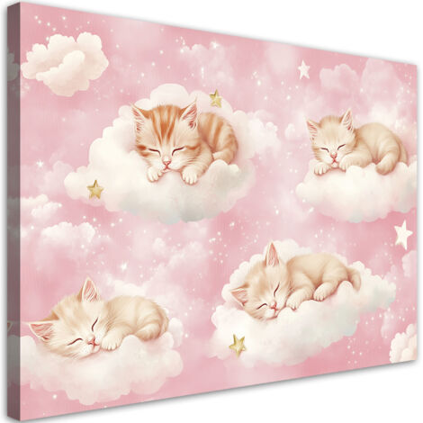 Tableau déco Chats dans les nuages Rose 60x40 (1/5)