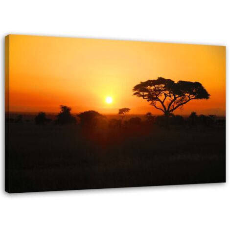 Tableau sur toile Afrique Arbre Coucher de soleil 60x40 (1/5)