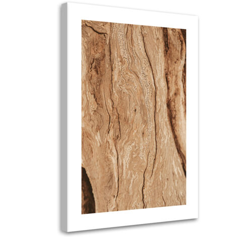 Tableau sur toile Arbre sans écorce 70x100 (1/5)
