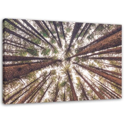 Tableau décoratif Pin Nature Forêt Verte 60x40 (1/5)