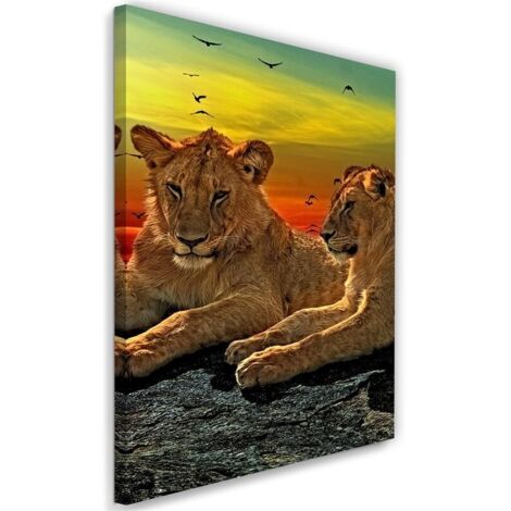 Tableau sur toile Lions animaux Afrique 40x60 (1/5)