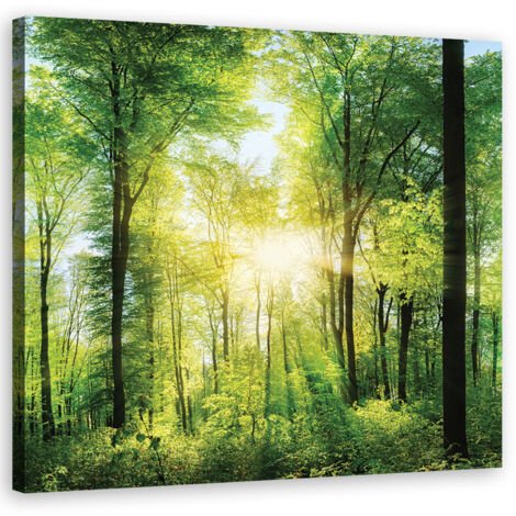 Image sur toile, Rayons de soleil Forêt Nature Spa Violet - 30x30 (1/5)
