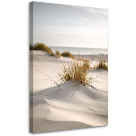 Tableau déco Plage mer dunes nature plantes 40x60 (1/4)