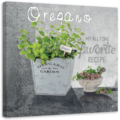 Tableau sur toile Épices de cuisine oregano 50x50 (1/5)