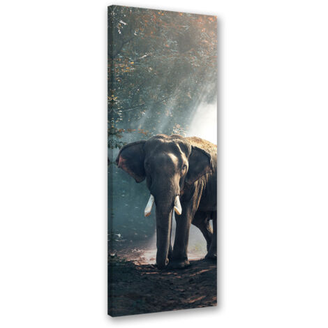 Tableau sur toile Éléphant dans la jungle 30x90 (1/5)