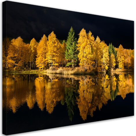 Tableau déco Arbres de forêt et de lac Nature 90x60 (1/5)