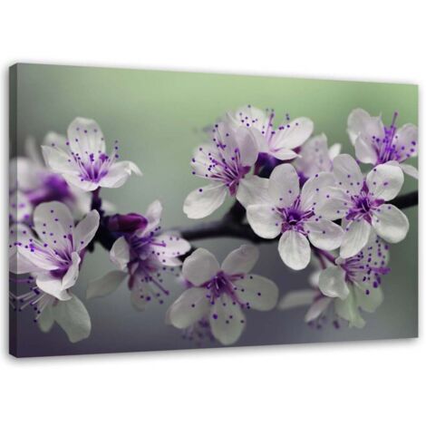 Tableau déco Fleur de pommier nature plante 100x70 (1/5)