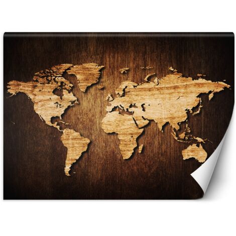 Papier peint Carte du monde sur bois 200x140 (1/5)