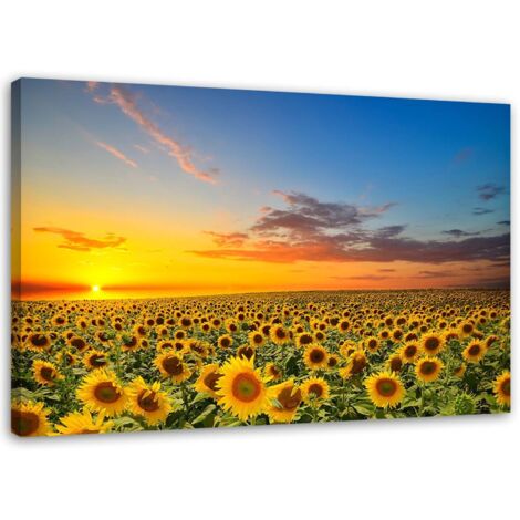 Tableau décoratif Tournesols Coucher de soleil 100x70 (1/5)