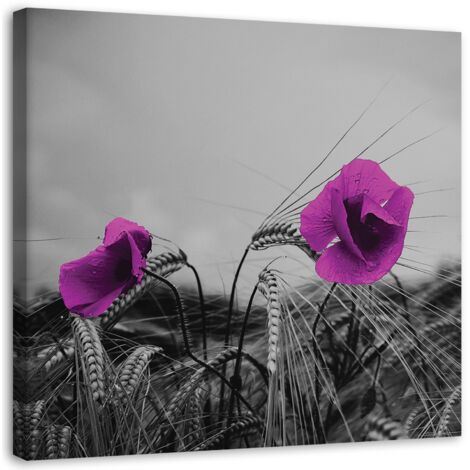 Tableau sur toile Coquelicots en mauve 40x40 (1/5)