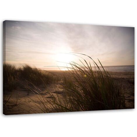 Tableau sur toile Plage Herbe Coucher de soleil 60x40 (1/5)