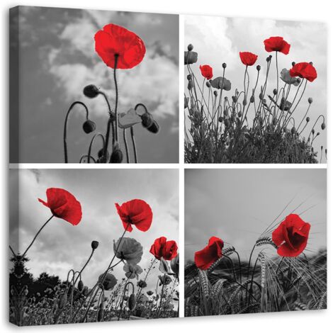 Tableau sur toile Set Coquelicots rouges champ 40x40 (1/5)