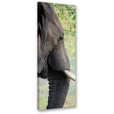 Tableau sur toile Éléphant Animal Afrique 30x90 (1/5)