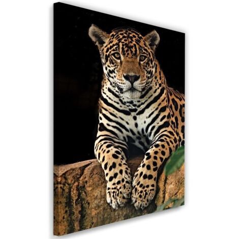 Tableau sur toile Léopard animaux nature 40x60 (1/5)