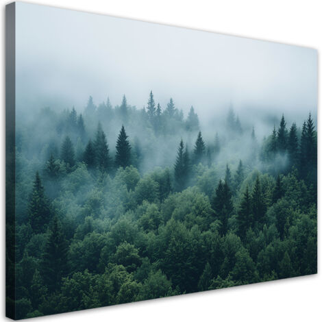 Tableau déco Forêt verte dans le brouillard paysage nature 100x70 (1/5)
