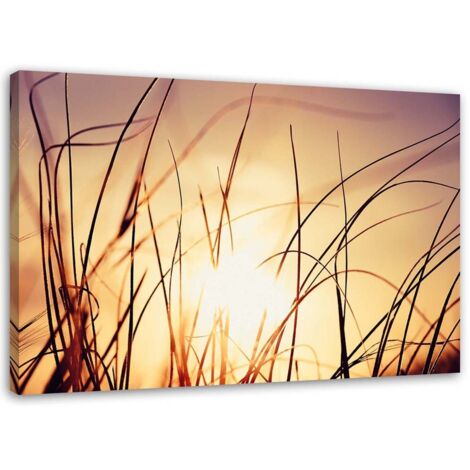 Tableau sur toile Coucher de soleil Nature Herbe Plantes 60x40 (1/5)