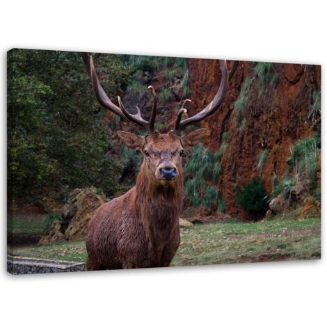 Tableau sur toile Cerf dans la forêt Nature Animaux 60x40 (1/5)