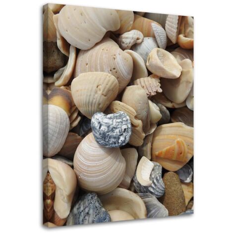 Tableau sur toile Coquillages Pierres Mer 70x100 (1/5)