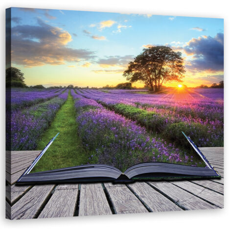 Tableau sur toile Champ de lavande Nature 40x40 (1/5)