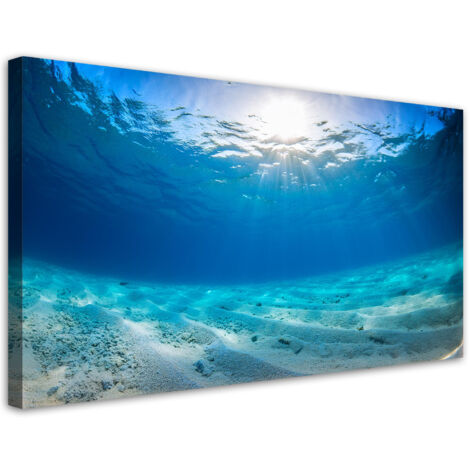Tableau déco Profondeurs marines Nature 80x40 (1/5)