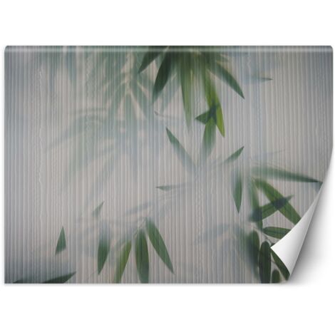 Papier peint Feuillage Vert Brouillard Nature 200x140 (1/5)