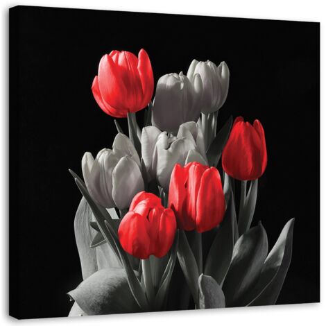 Tableau décoratif Fleur de tulipe rouge gris 40x40 (1/5)