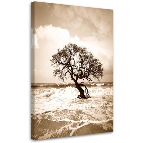 Tableau déco Paysage marin Plage Arbre vintage 40x60 (1/4)