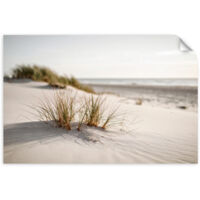 Poster autocollant Plage mer dunes nature plantes 100x70