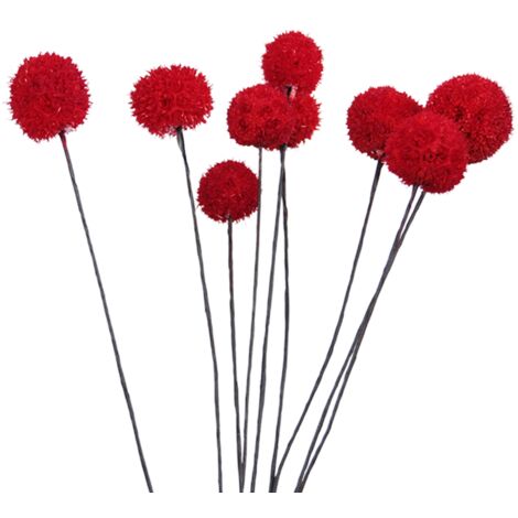 Fleurs Artificielles Billy Ball Séchées pour Décoration Intérieure et Jardin (1/5)