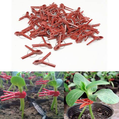 100 Pièces Attaches de Greffage Plastique pour Jardin, Pratiques et Résistantes (1/5)