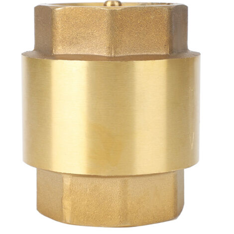 Clapet anti-retour unidirectionnel en laiton pour eau, gaz, huile (filetage G1'') (1/5)