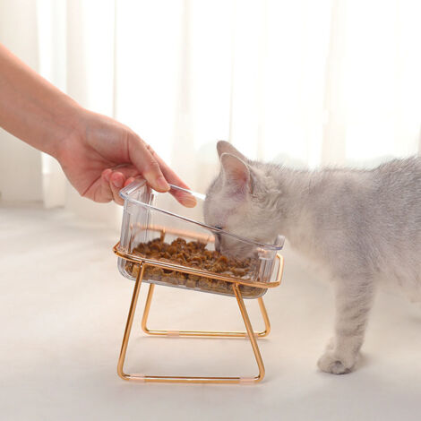 Bol Alimentaire pour Chats surélevé, Transparent, Incliné - Mangeoire Anti-glouton pour Chiens et Chats - Bol Unique en Métal Doré 14,4x14,4x11cm (1/5)