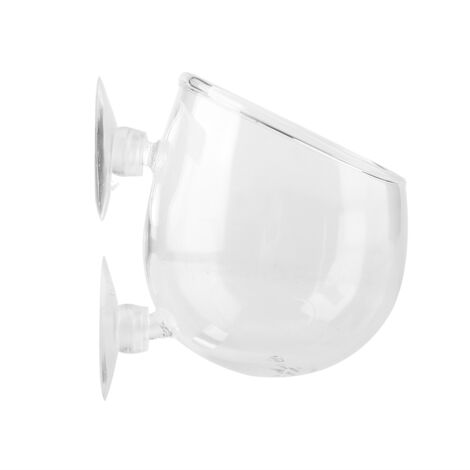 Plante Aquarium Vivante en Pot - Décoration Bassin Mini pour Paysage Aquatique (1/5)