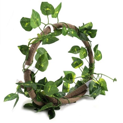 Liane d'escalade flexible pour reptiles - Branche en rotin 3.28ft avec feuilles de Scindapsus - Décoration jungle terrarium (1/5)