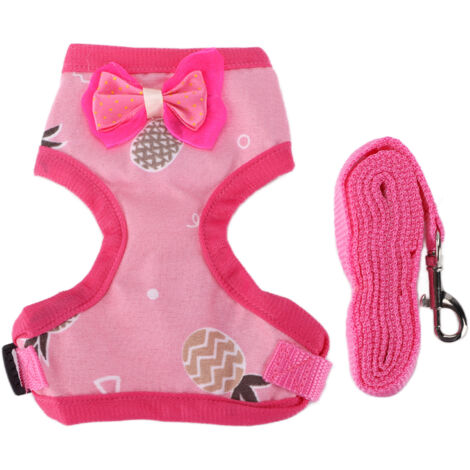 Laisse pour poule de compagnie, harnais ajustable et laisse d'entraînement pour promenades en rose (1/5)