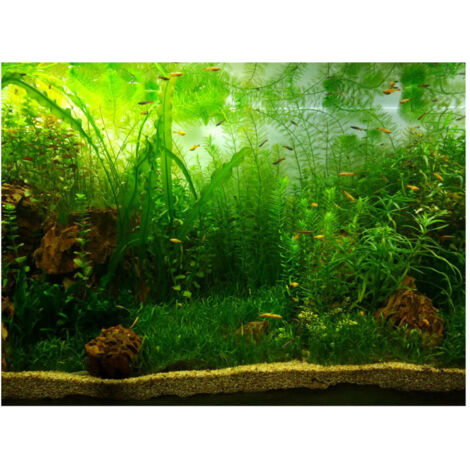 Papier Décoratif Adhésif PVC pour Aquarium, Style Herbe d'Eau, Fond d'Écran 122x46 cm (1/5)