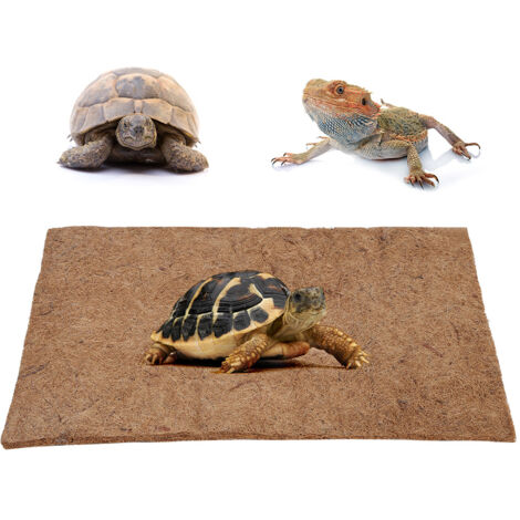 Tapis en Fibre de Coco pour Terrarium Reptile, Sous-couche pour Lézards et Aménagement d'Enclos (1/5)