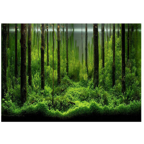 Papier peint adhésif PVC pour aquarium, décor sous-marin forêt (91x50 cm) (1/5)